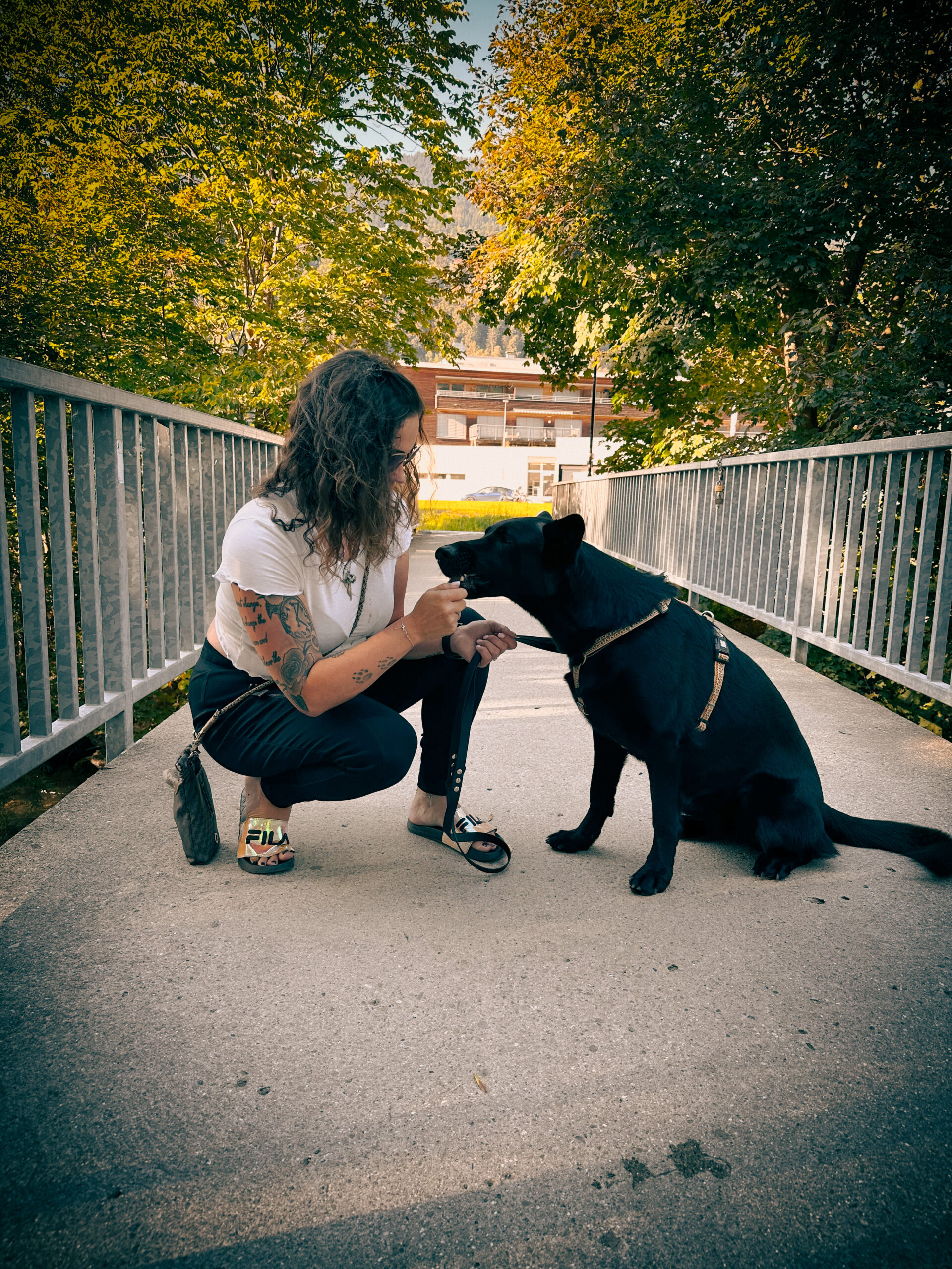 Gassi Service mit Hund