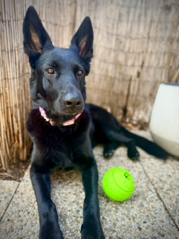 Einzeltraining Abschluss